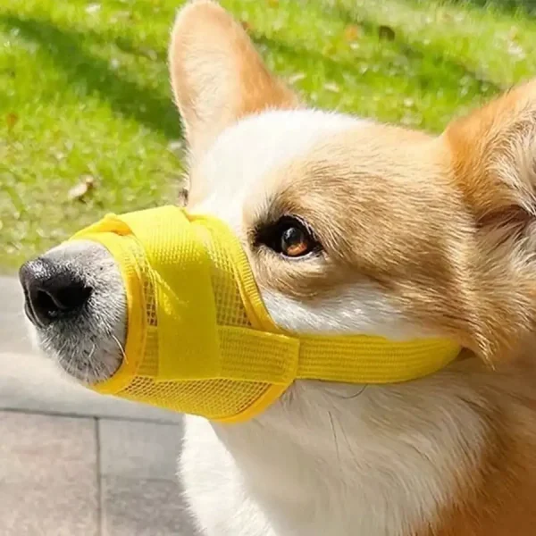 Adjustable Dog Muzzle, Anti-Bite Anti-Bark Muzzle For Small/Large Dog